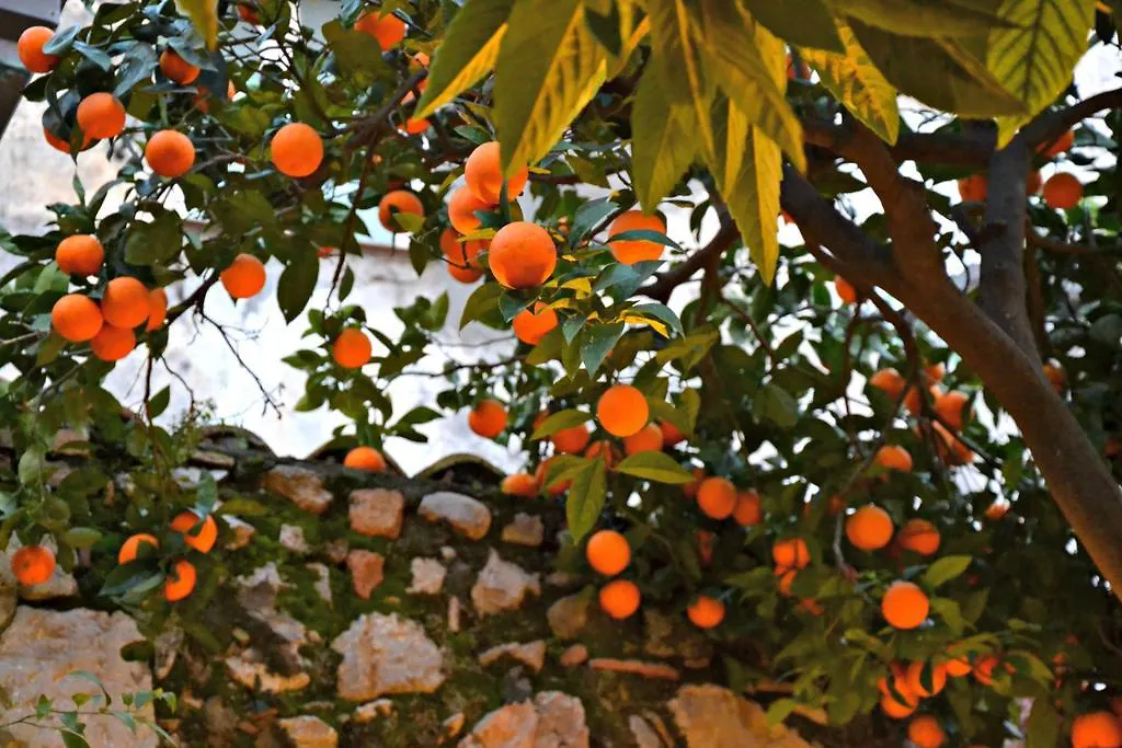 Giardino Del Sole Lägenhet Taormina